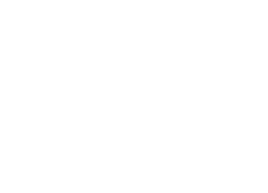 BIM XL